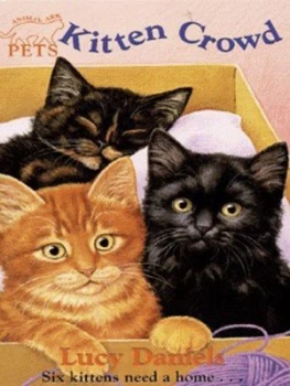 Image of Kitten Crowd by Lucy Daniels Paperback