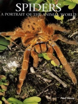 Image of Spiders by Paul Sterry Hardback