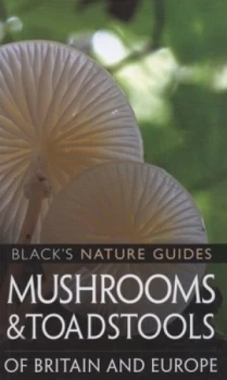 Image of Mushrooms and Toadstools of Britain and Europe by Andreas Gminder Paperback