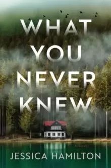 Image of What You Never Knew : A Novel