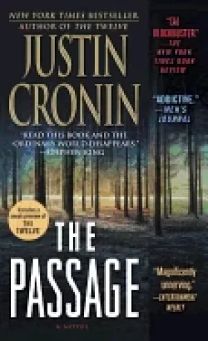 Image of passage a novel