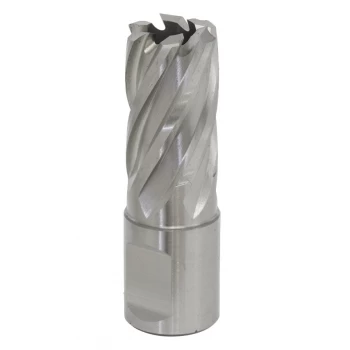 Image of Rotabor Cutter HSS 17MM - Cut Depth 25MM