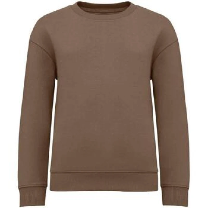 Image of Native Spirit NS437 boys's Sweatshirts in Multicolour