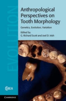 Image of Anthropological Perspectives on Tooth Morphology by G. Richard Scott Hardback