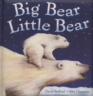 Image of Big Bear Little Bear by David Bedford Book