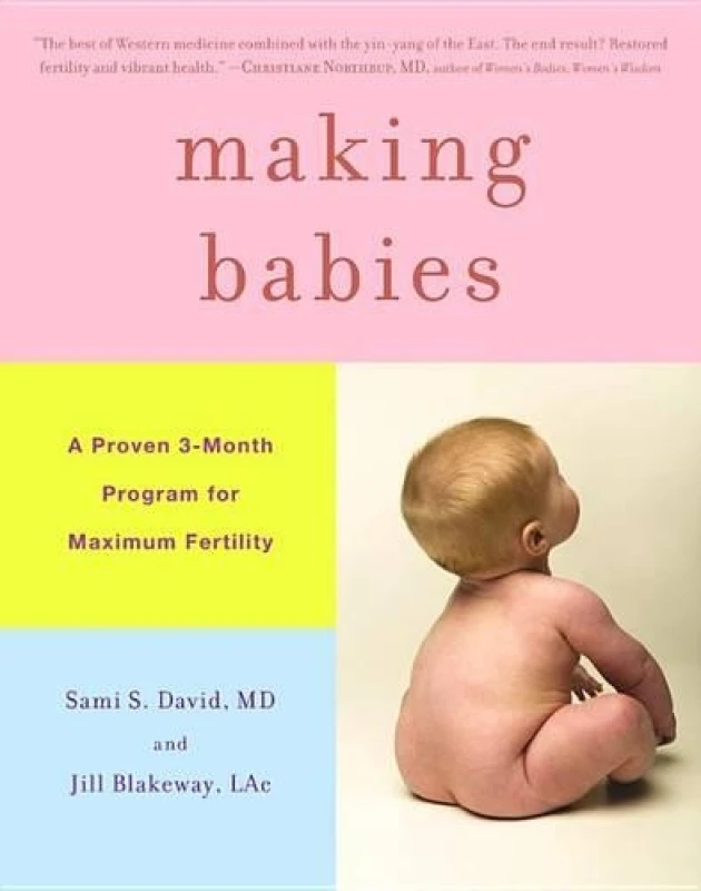 Image of Making Babies by Sami S David and Jill Blakeway Hardback