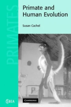 Image of Primate and Human Evolution by Susan Cachel Hardback