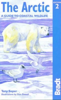 Image of Arctic by Dan Powell Paperback