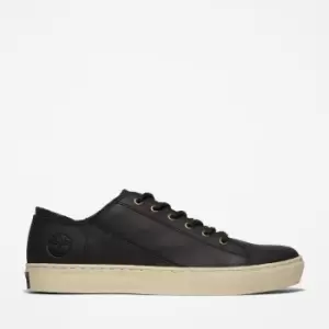 Image of Timberland Adventure 2.0 Trainer For Men In Black Black, Size 11.5