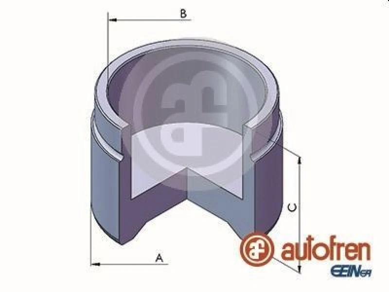 Image of AUTOFREN SEINSA Brake caliper piston AUTOFREN SEINSA D025499
