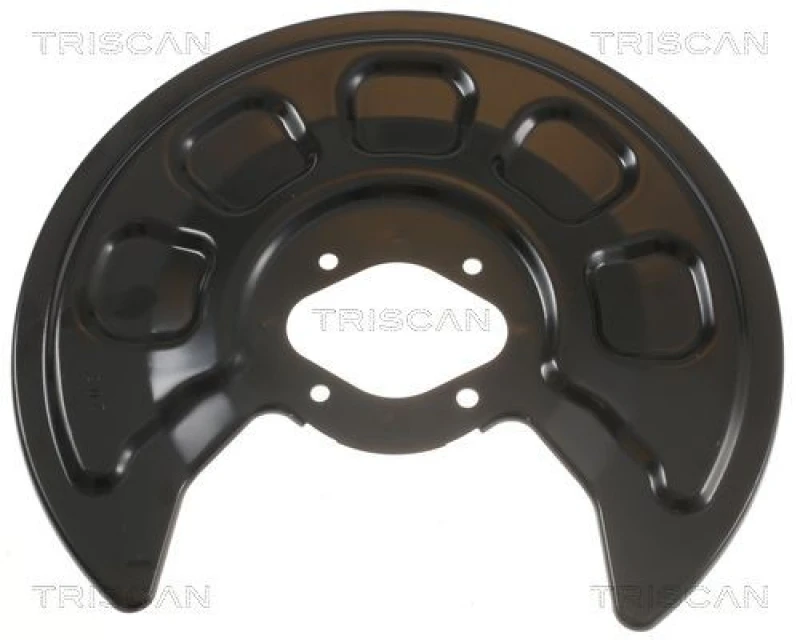 Image of TRISCAN Brake disc backing plate TRISCAN 8125 29226
