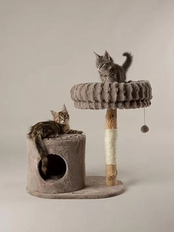 Image of Scruffs Himalayas Cat Scratching Tree TRE/RCD/667541