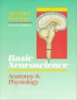 Image of basic neuroscience anatomy and physiology