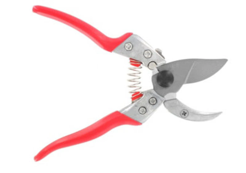 Image of ARS VA-8Z Anvil Secateurs VA-8Z
