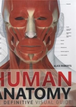 Image of Human anatomy by Dr Alice Roberts