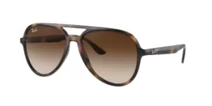 Ray-Ban Sunglasses RB4376 710/13