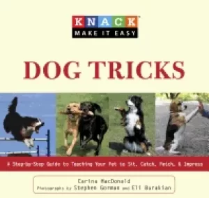 Image of knack dog tricks a step by step guide to teaching your pet to sit catch fet