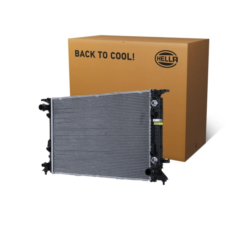 Image of HELLA Engine radiator HELLA 8MK 366 300-401