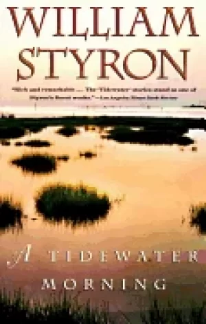 Image of tidewater morning