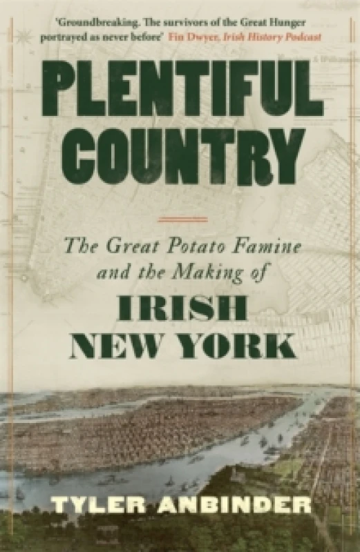 Image of Plentiful Country : The Great Potato Famine and the Making of Irish New York Hardback
