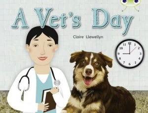 Image of Bc Nf Green B/1b a Vets Day by Claire Llewellyn Book