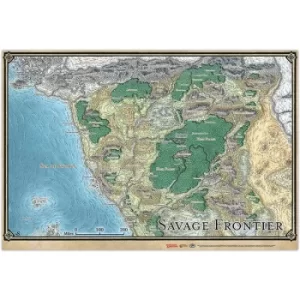 Image of D&amp;D Savage Frontier Map 21"x31"