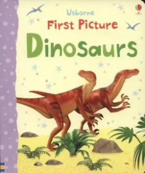 Image of Usborne First Picture Dinosaurs by Sam Taplin and Jo Litchfield Hardback
