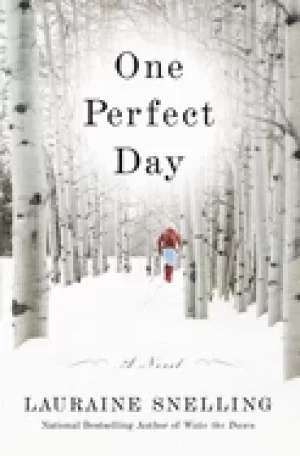 Image of one perfect day a novel