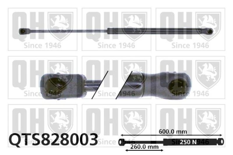 Image of QUINTON HAZELL Bonnet strut QUINTON HAZELL QTS828003