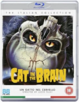 Image of A Cat In The Brain