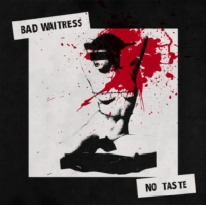 Image of No Taste Vinyl
