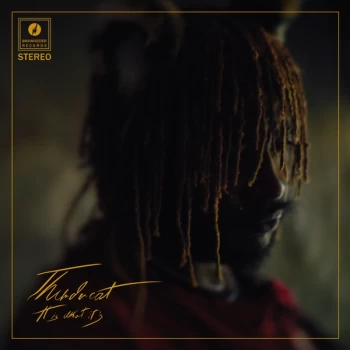 Image of Thundercat - It Is What It Is Stereo Vinyl