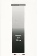 Image of naming the witch