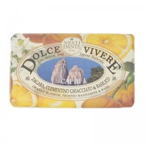 image of Nesti Dante Dolce Vivere Capri Soap 250g