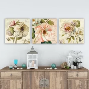 Image of pmdr45 Multicolor Decorative Canvas Painting (3 Pieces)