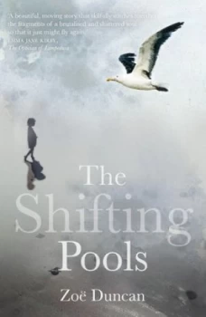 Image of The Shifting Pools by Zo Duncan Book