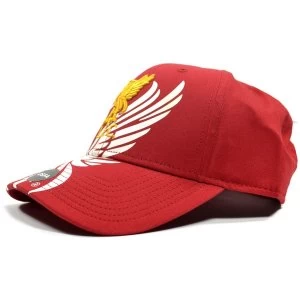 image of Liverpool Obsidian Cap Red