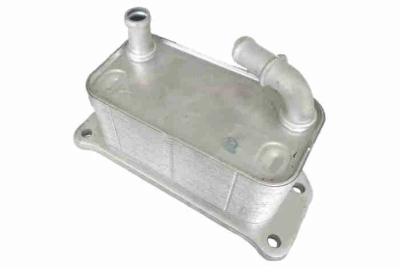 Image of Engine oil cooler VEMO V95-60-0022