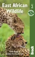Image of east african wildlife
