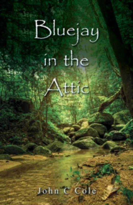 Image of Bluejay in the Attic Paperback / softback