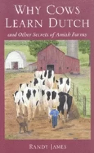 Image of why cows learn dutch and other secrets of the amish farm