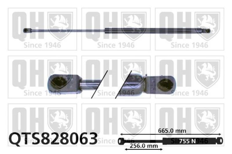 Image of QUINTON HAZELL Tailgate strut QUINTON HAZELL QTS828063