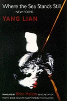 Image of Where the Sea Stands Still by Lian Yang and Brian Holton Paperback