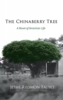 Image of The Chinaberry Tree : A Novel of American Life
