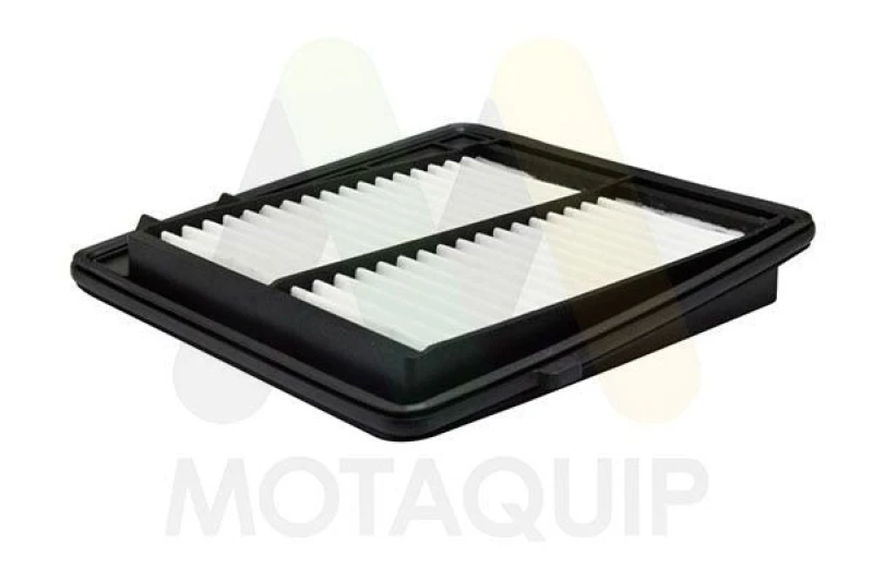 Image of MOTAQUIP Air filter MOTAQUIP LVFA1746