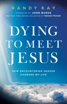 Image of Dying to Meet Jesus : How Encountering Heaven Changed My Life