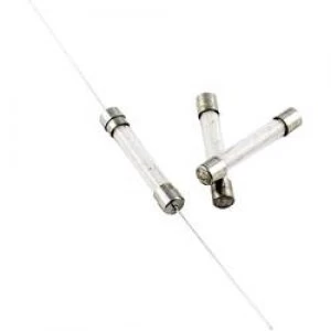 Image of Micro fuse x L 5mm x 30 mm 1.6 A 500 V Medium time lag mT