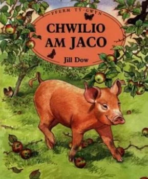 Image of Chwilio Am Jaco by Jill Dow Book