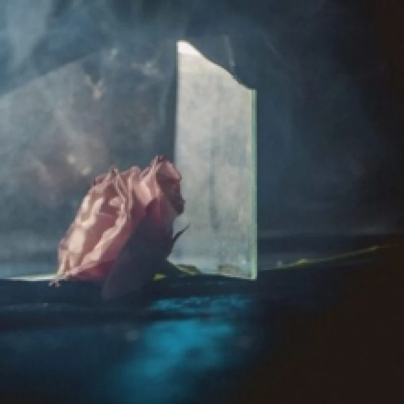 Image of In Virus Times Vinyl