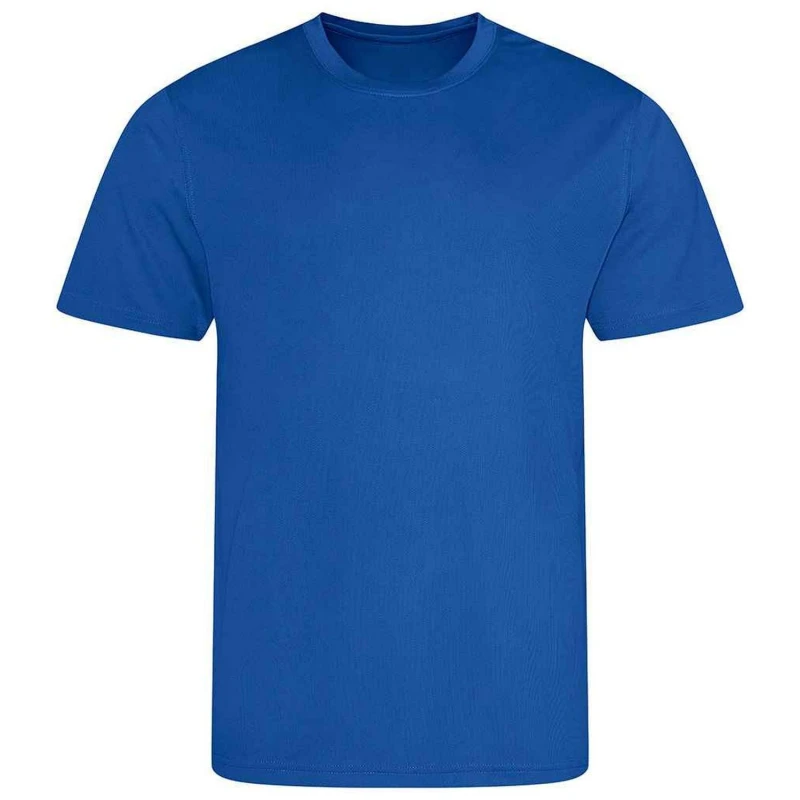 Image of AWDis Cool Plain Magenta T-Shirt in Royal Size: 12-13 Years Royal Unisex 12-13 Years